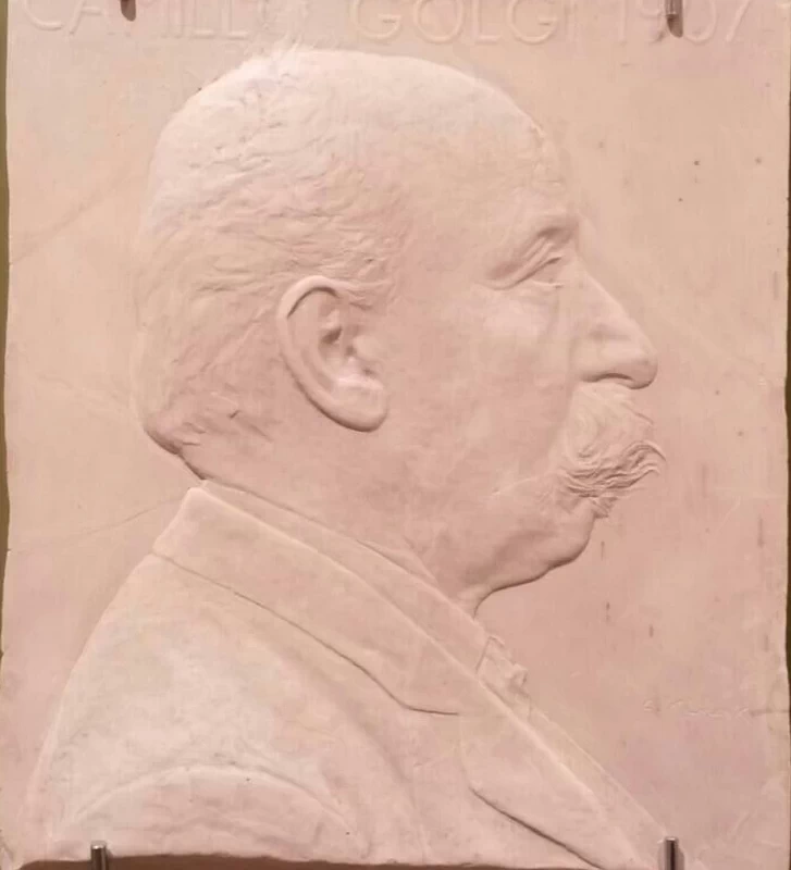 Camillo Golgi - Museo Giorgio Kienerk, Fauglia, Pisa 1